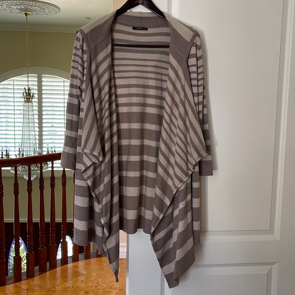 Plus size hooded top with pizazz! EUC